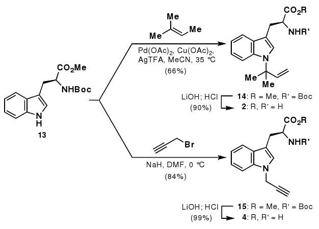 Scheme 1