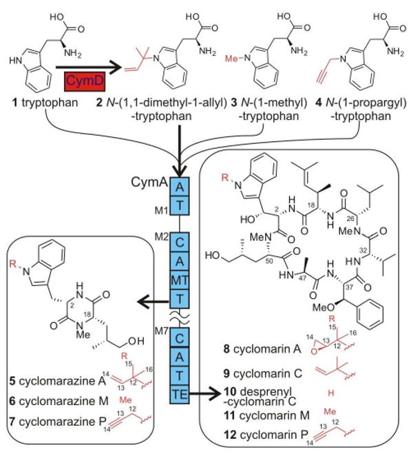 Figure 1