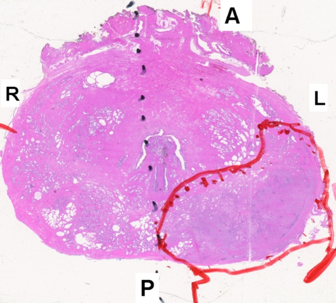 Figure 3g: