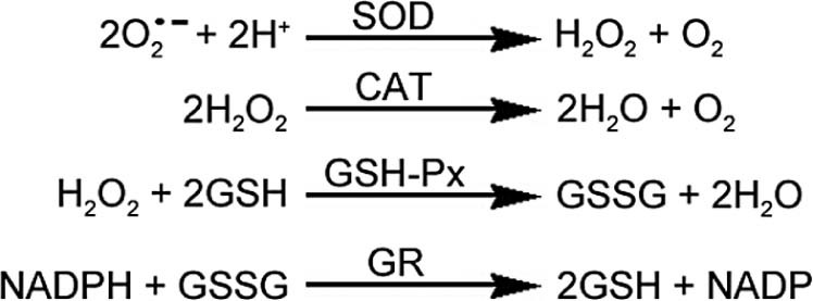 Fig. 3