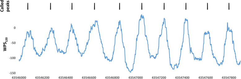 Fig. 2