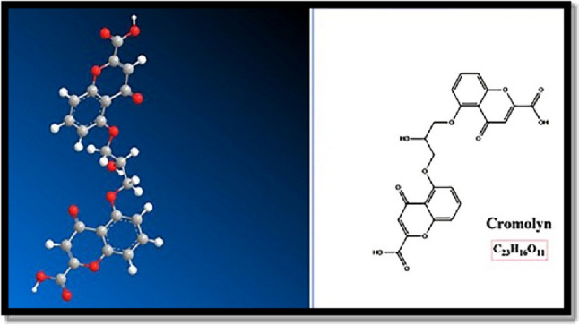 Fig. 1