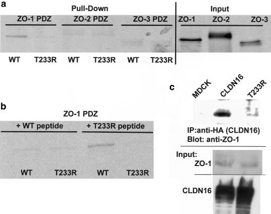 Figure  3