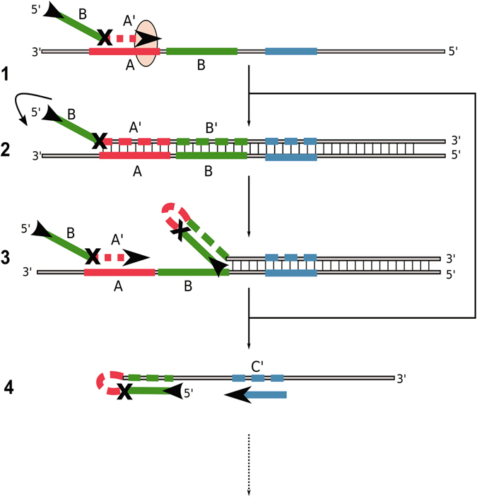 Figure 7