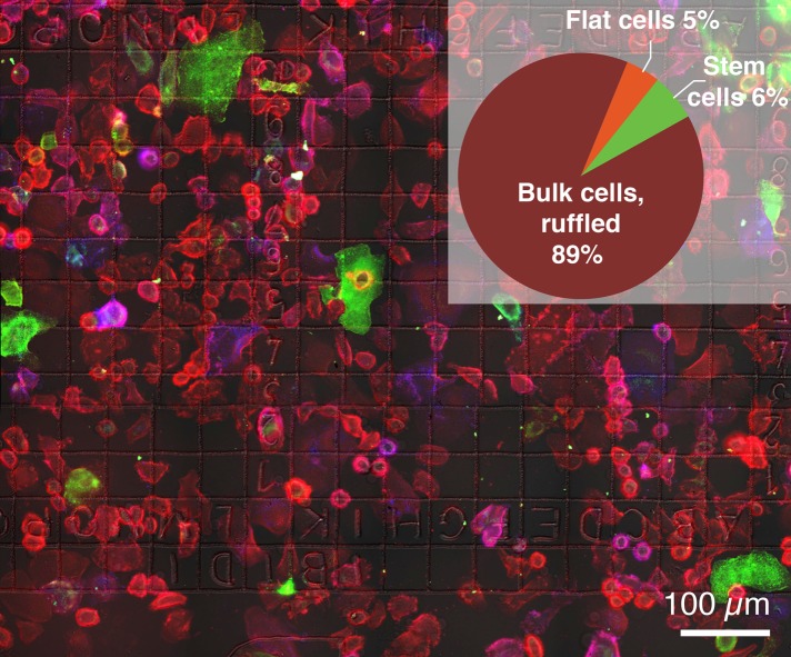 FIGURE 1: