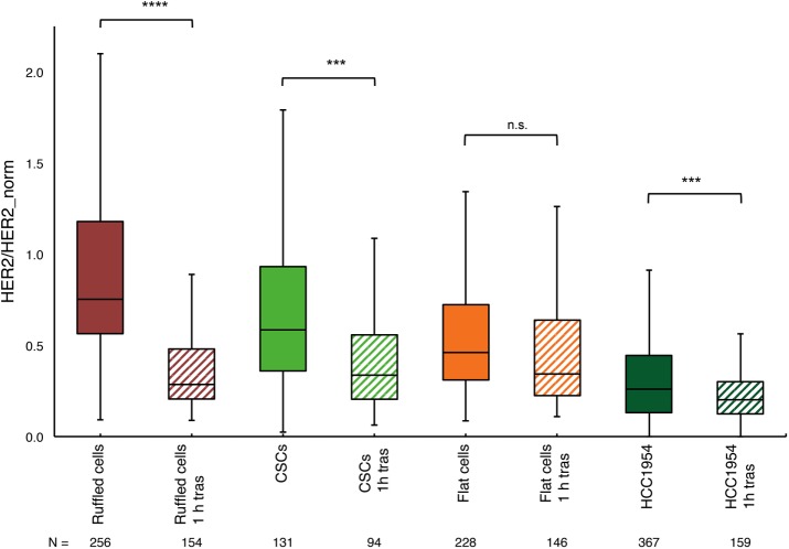 FIGURE 5: