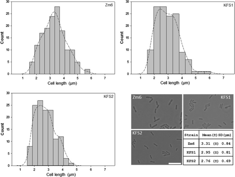 Fig. 4