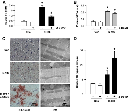 FIG. 7.