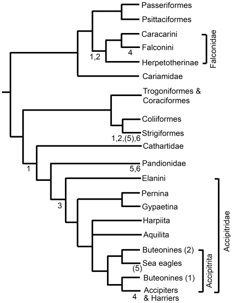 Figure 5