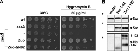 FIGURE 5.