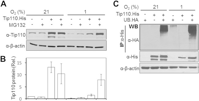 FIG 1