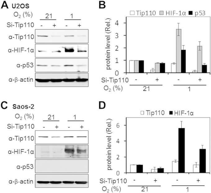 FIG 6