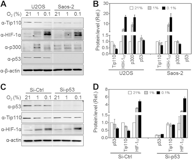 FIG 3