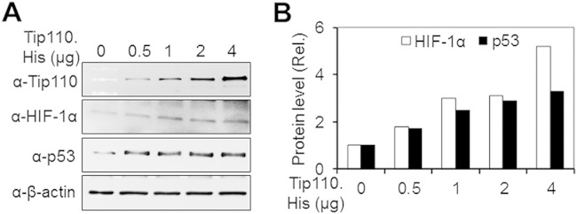 FIG 2