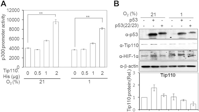 FIG 9