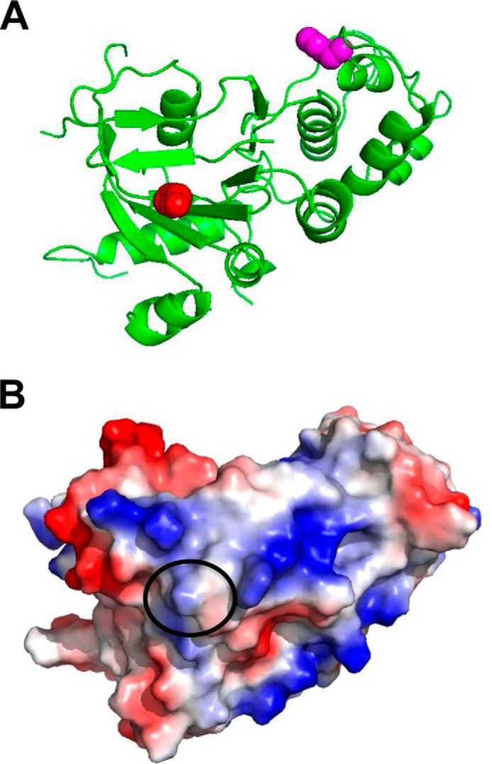 FIGURE 4.