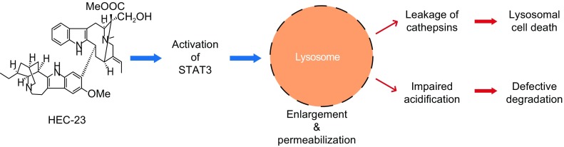 Figure 7