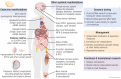 Graphical Abstract