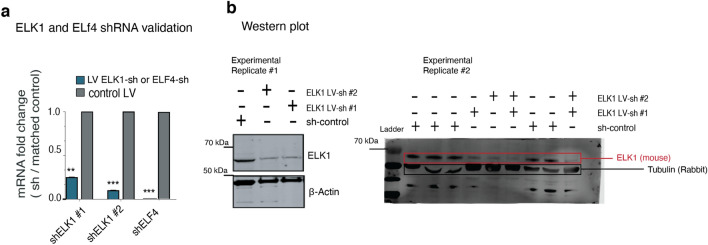 Figure 24