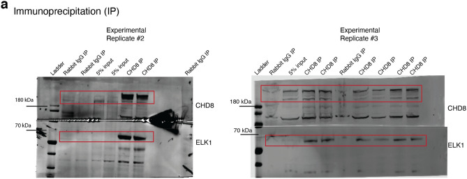 Figure 23