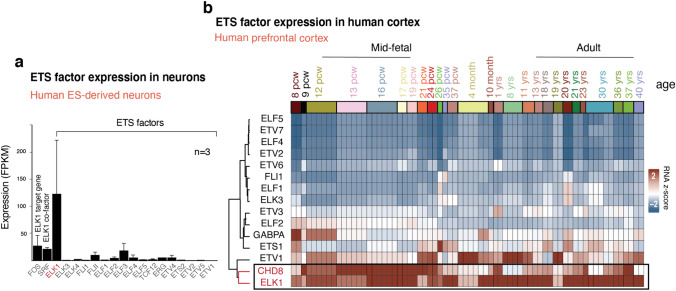 Figure 21