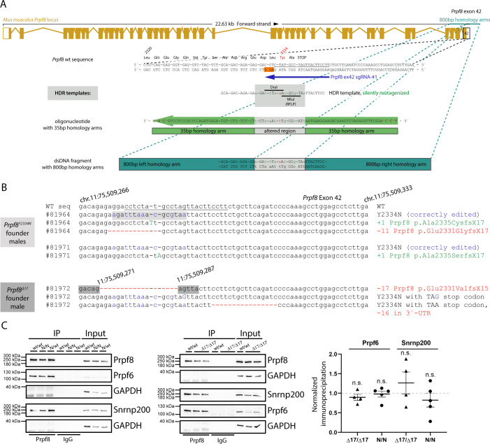 Figure S1.