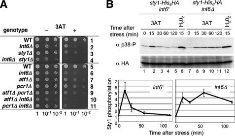 FIGURE 4.