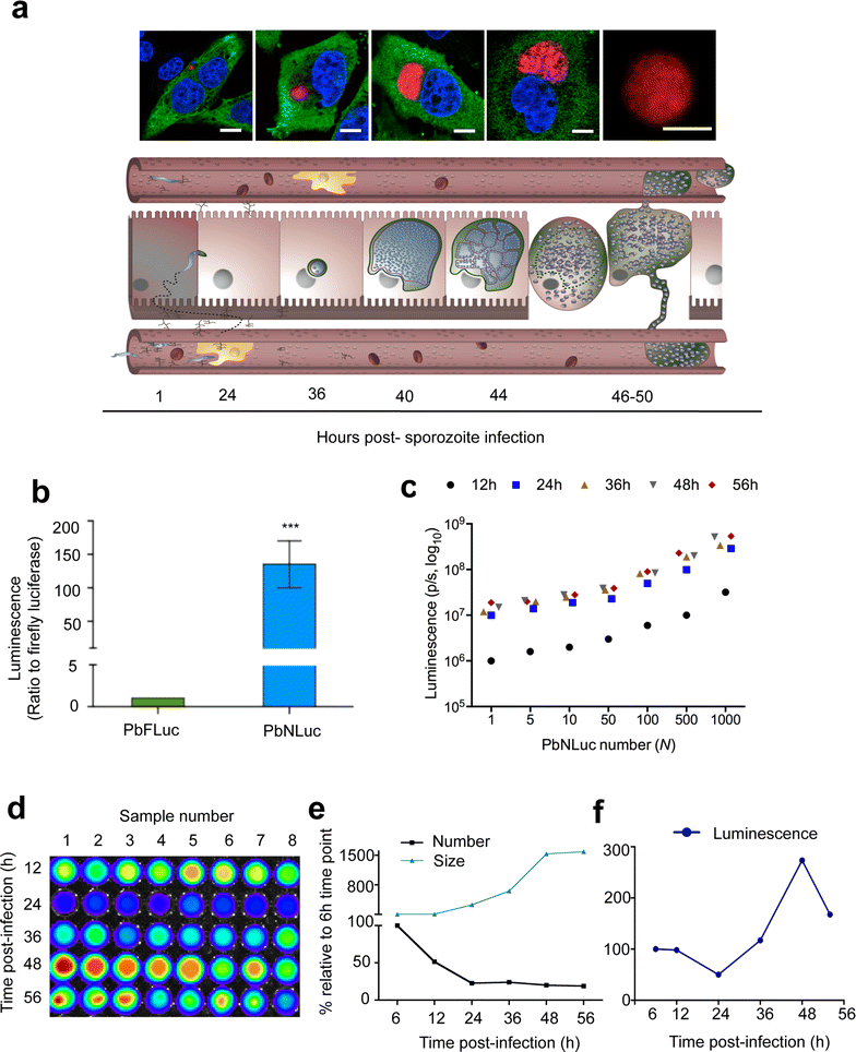 Fig. 4