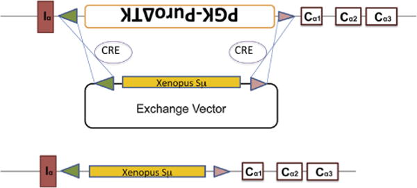 Fig. 3