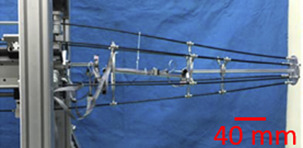 graphic file with name frobt-08-706070-fx3.jpg