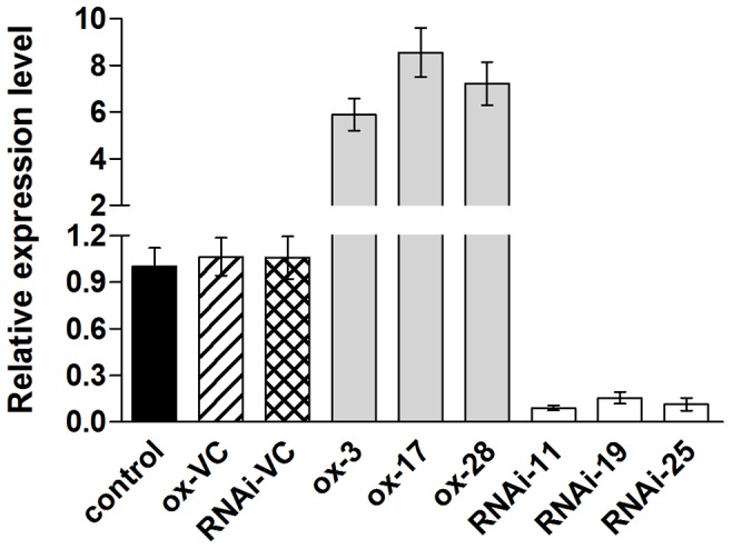 Figure 5