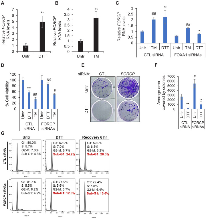 Figure 4—figure supplement 1.