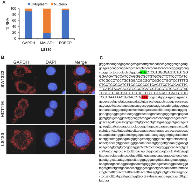 Figure 2—figure supplement 1.