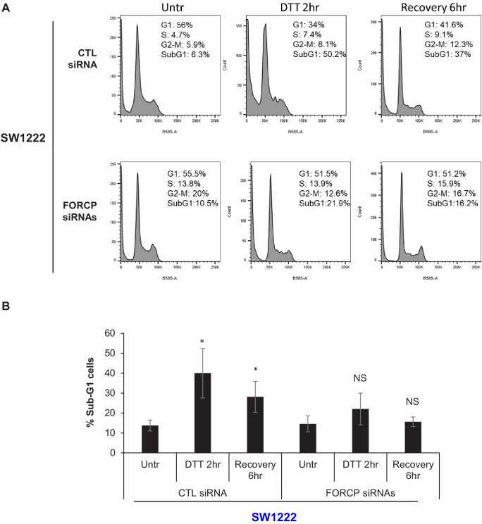 Figure 4—figure supplement 2.