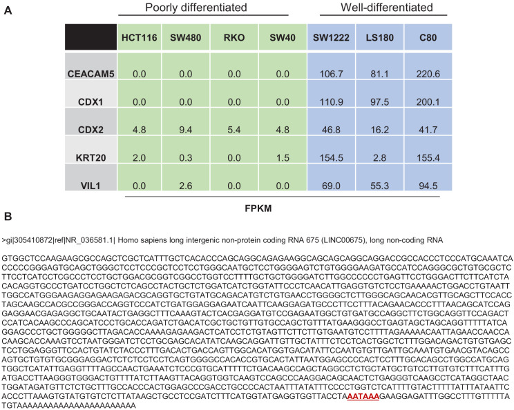 Figure 1—figure supplement 2.