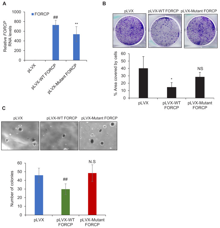 Figure 2—figure supplement 3.