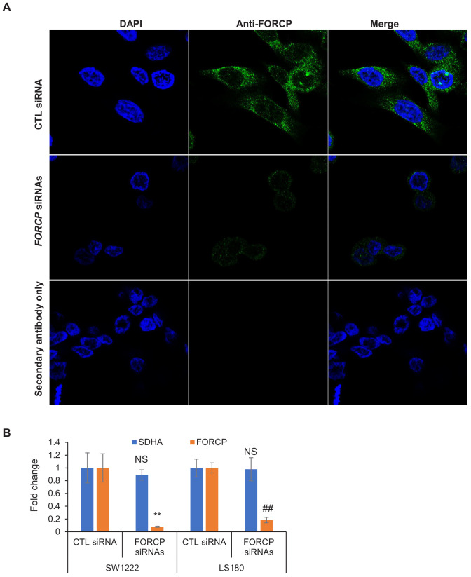 Figure 3—figure supplement 2.