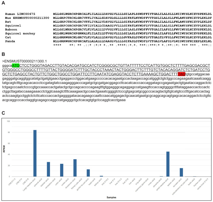 Figure 2—figure supplement 2.