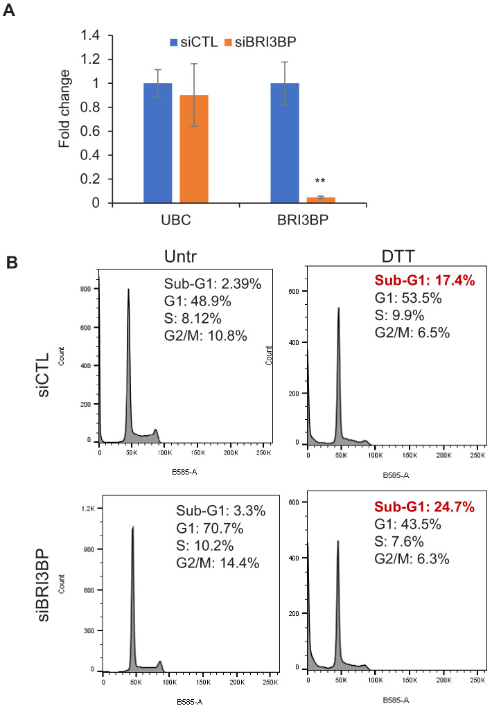 Figure 4—figure supplement 4.