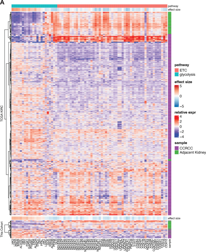 Extended Data Figure 2: