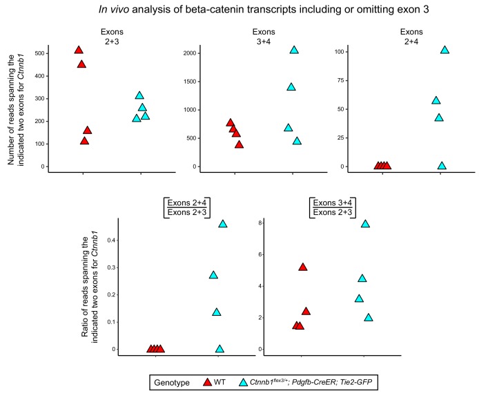 Figure 3—figure supplement 1.