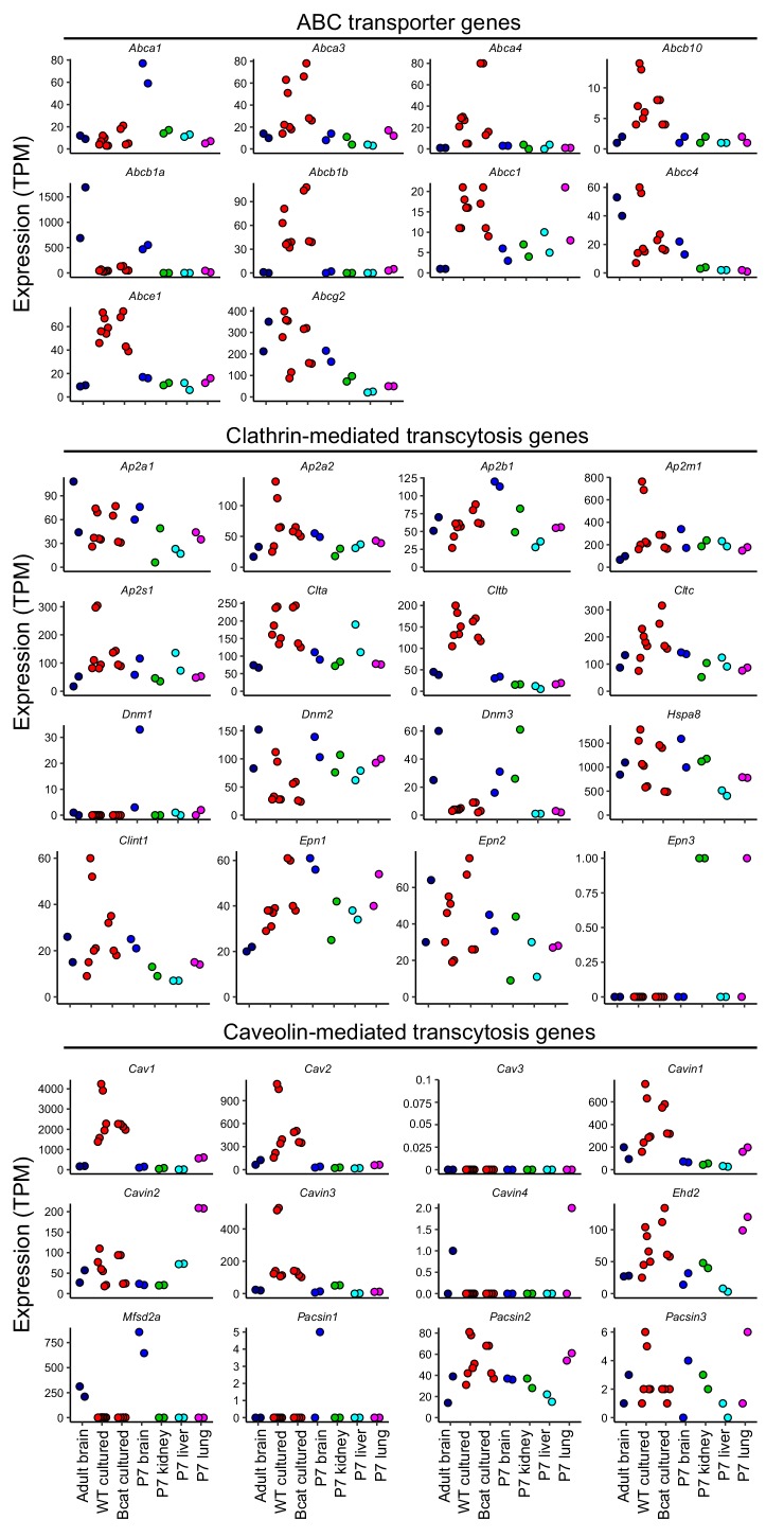 Figure 1—figure supplement 3.