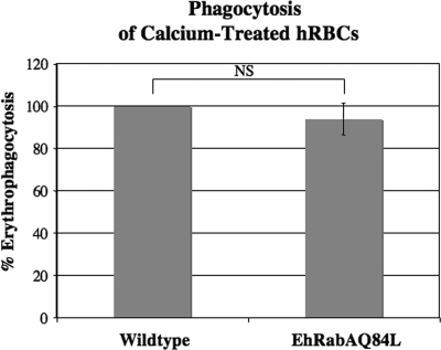 FIG. 9.