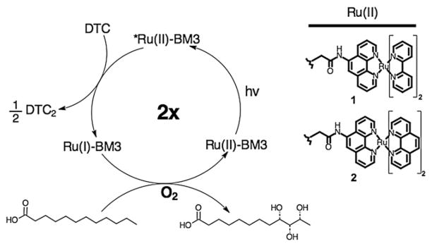 Scheme 1