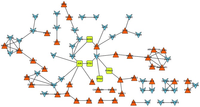 Figure 2.