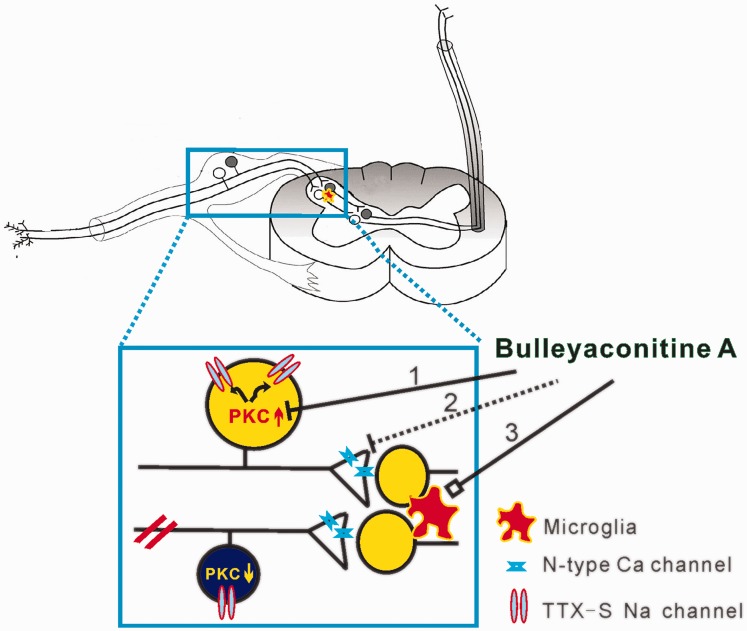 Figure 5.