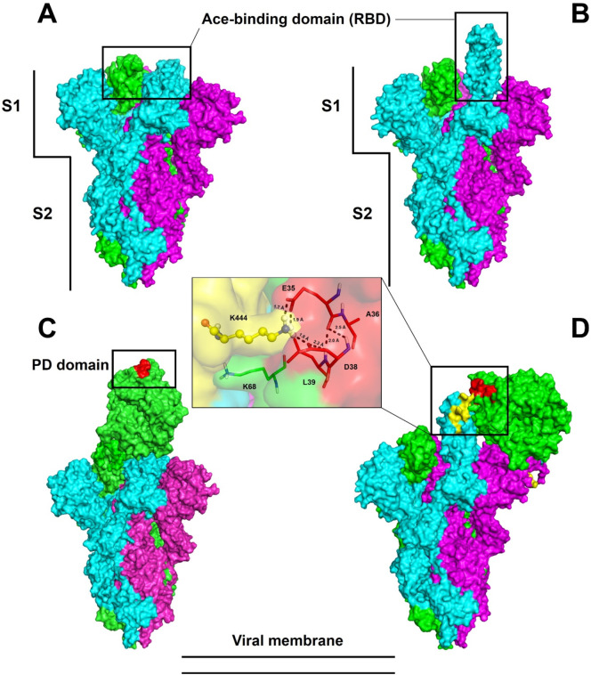 Fig. 1