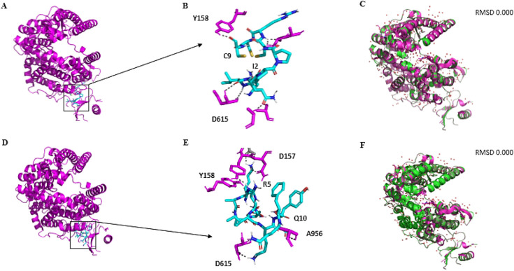 Fig. 8