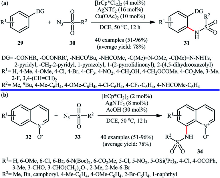 Scheme 10