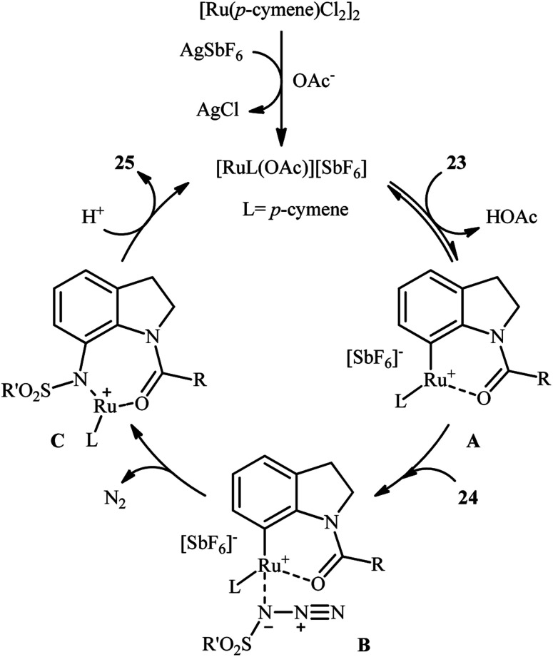 Scheme 8